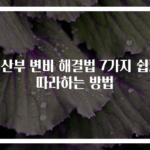 임산부 변비 해결법 7가지 쉽게 따라하는 방법