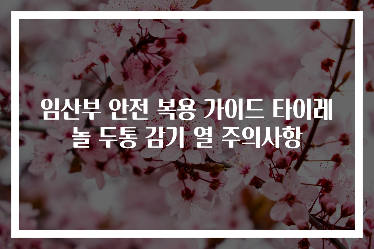 임산부 안전 복용 가이드 타이레놀 두통 감기 열 주의사항