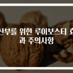 임산부를 위한 루이보스티 효능과 주의사항