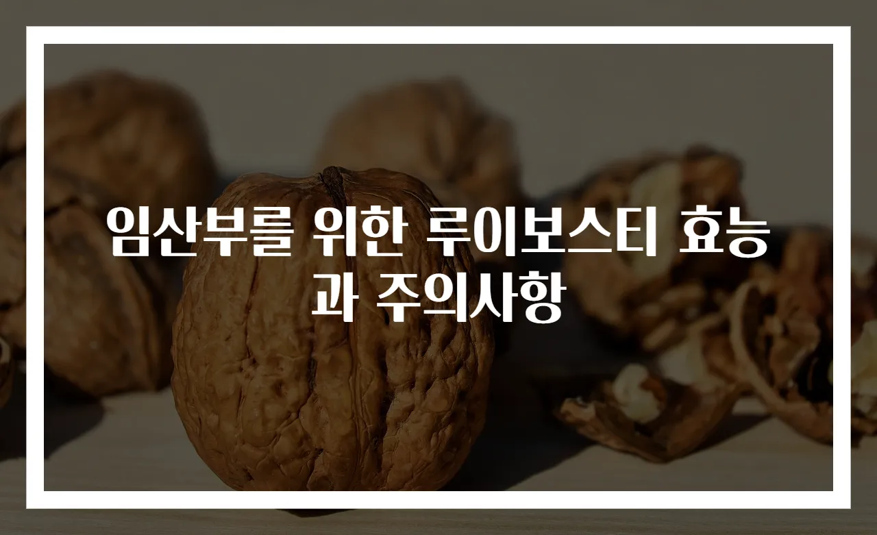 임산부를 위한 루이보스티 효능과 주의사항