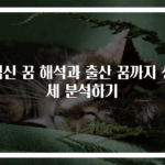 임신 꿈 해석과 출산 꿈까지 상세 분석하기