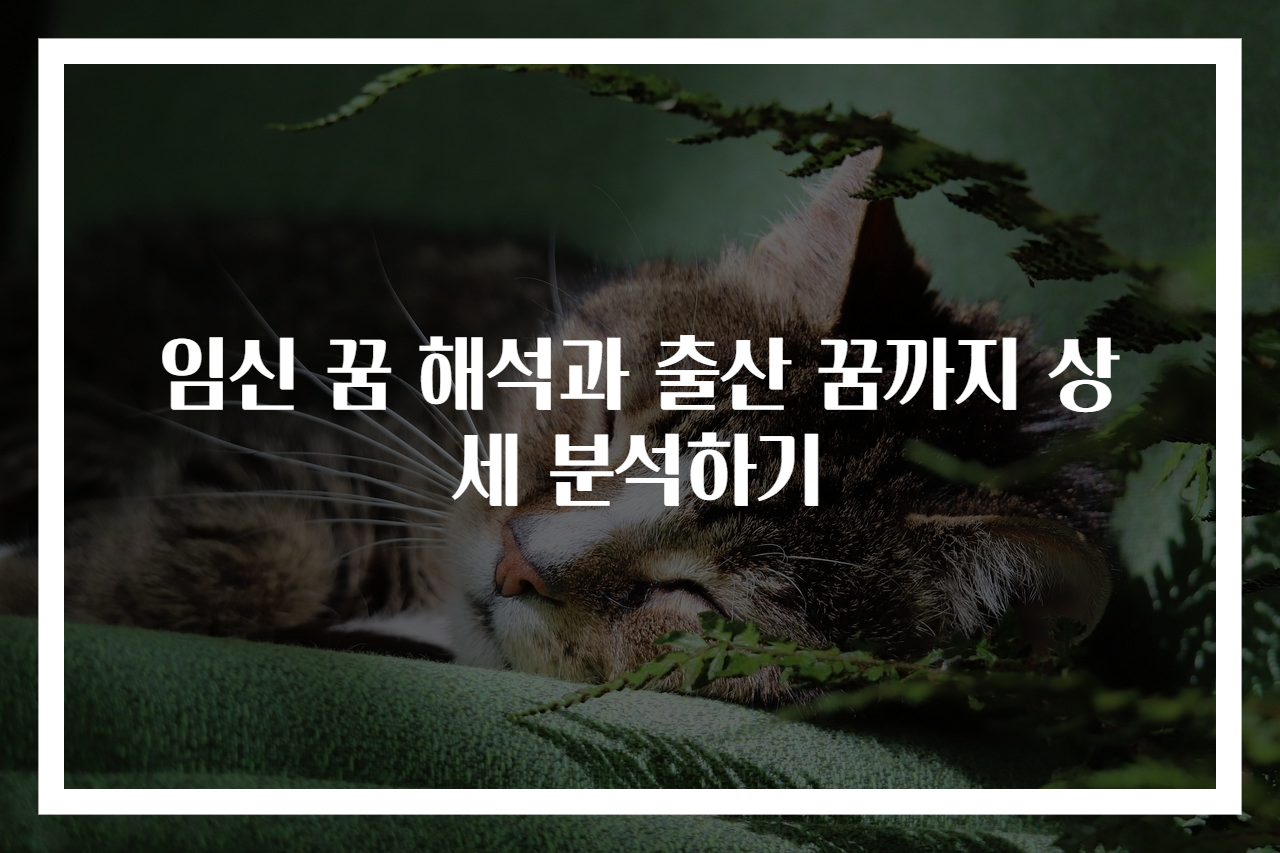 임신 꿈 해석과 출산 꿈까지 상세 분석하기