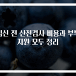 임신 전 산전검사 비용과 부부 지원 모두 정리