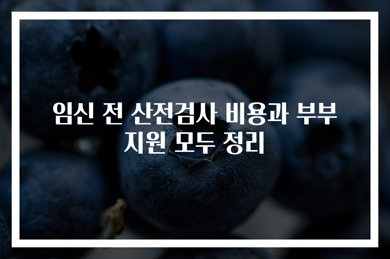 임신 전 산전검사 비용과 부부 지원 모두 정리