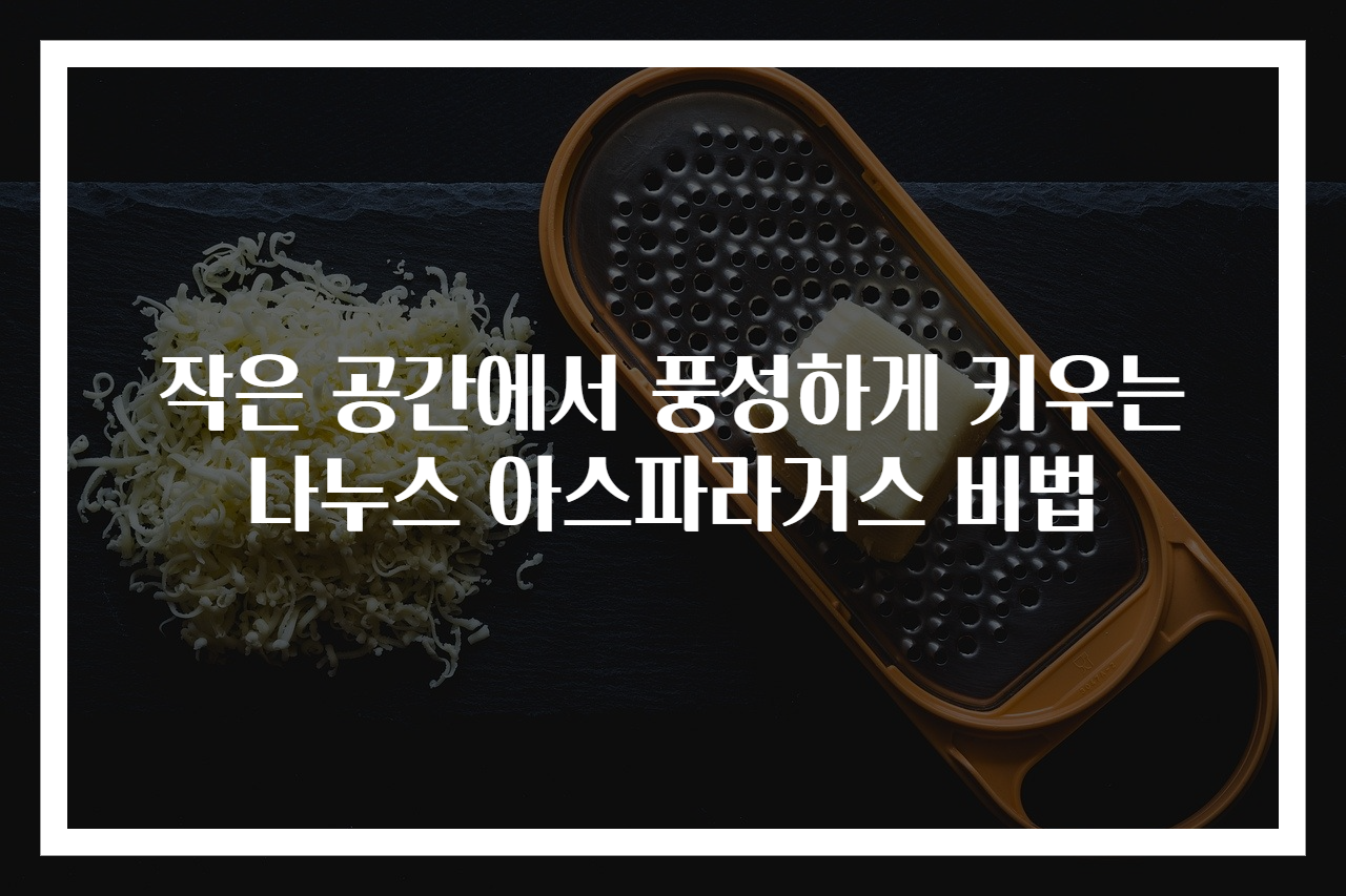 작은 공간에서 풍성하게 키우는 나누스 아스파라거스 비법