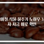 장마철 식물 물주기 노하우 3가지 지금 바로 확인