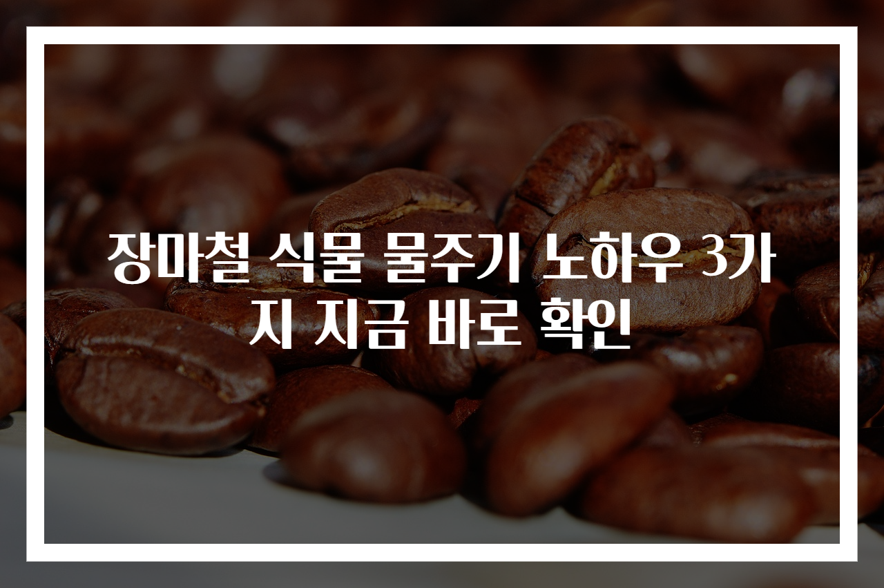 장마철 식물 물주기 노하우 3가지 지금 바로 확인