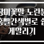 장미꽃말 노란분홍빨간색별로 쉽게말리기