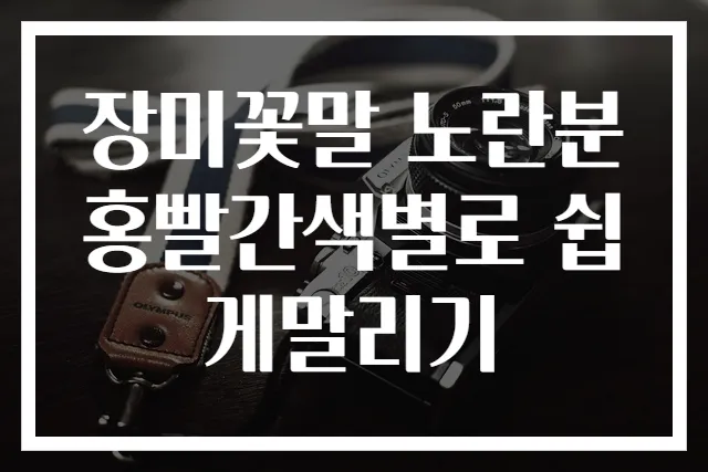 장미꽃말 노란분홍빨간색별로 쉽게말리기