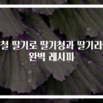 제철 딸기로 딸기청과 딸기라떼 완벽 레시피