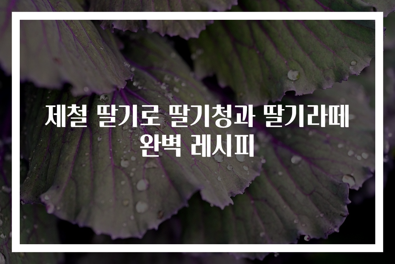 제철 딸기로 딸기청과 딸기라떼 완벽 레시피