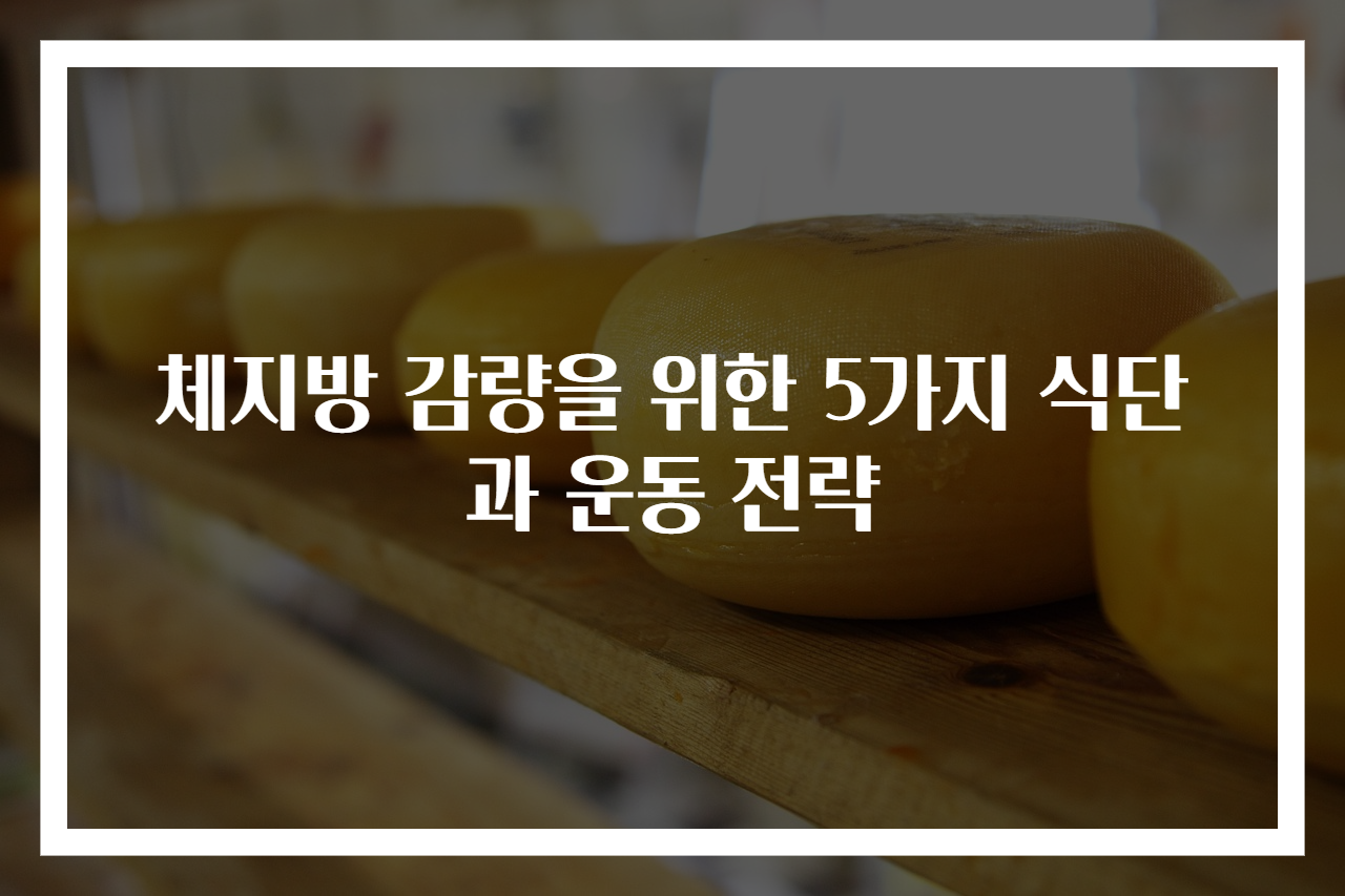 체지방 감량을 위한 5가지 식단과 운동 전략