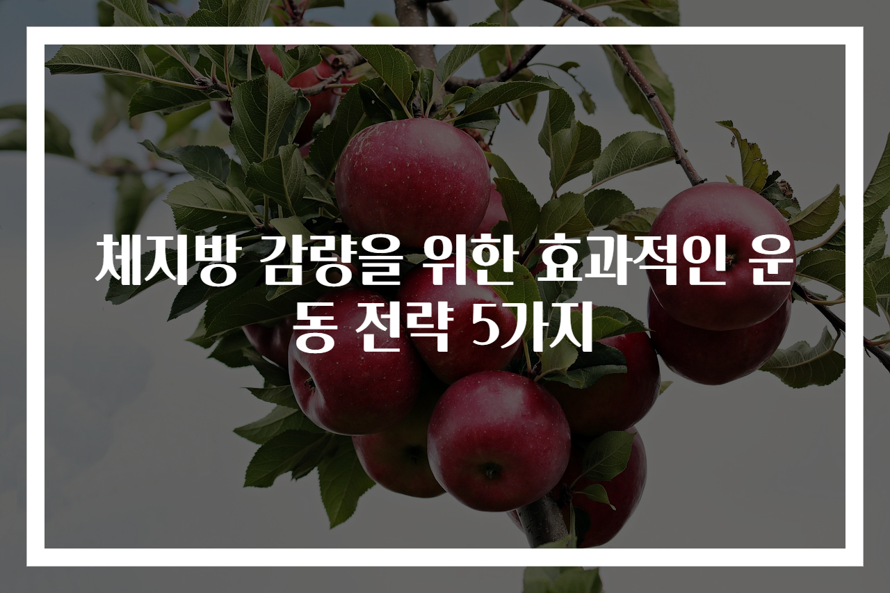체지방 감량을 위한 효과적인 운동 전략 5가지