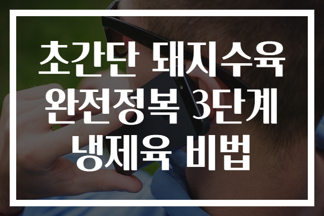 초간단 돼지수육 완전정복 3단계 냉제육 비법