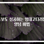 초보도 성공하는 명태코다리찜 양념 비법