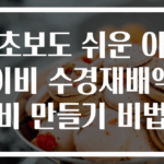 초보도 쉬운 아이비 수경재배액비 만들기 비법