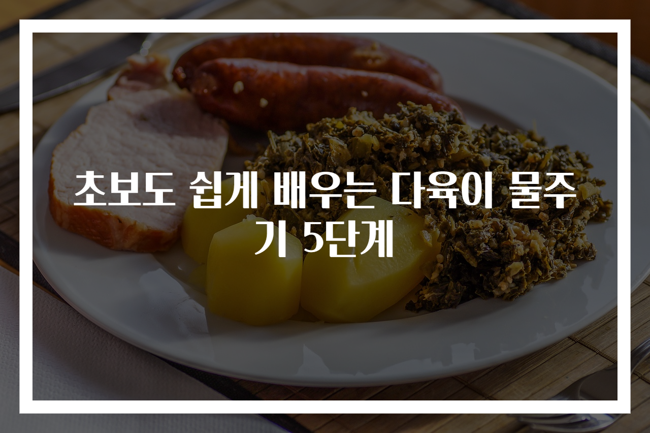 초보도 쉽게 배우는 다육이 물주기 5단계
