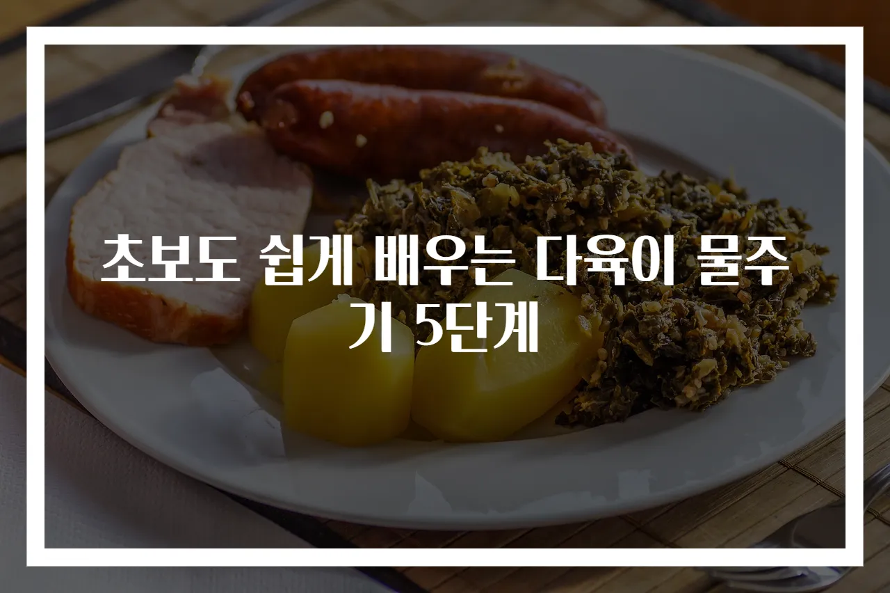 초보도 쉽게 배우는 다육이 물주기 5단계
