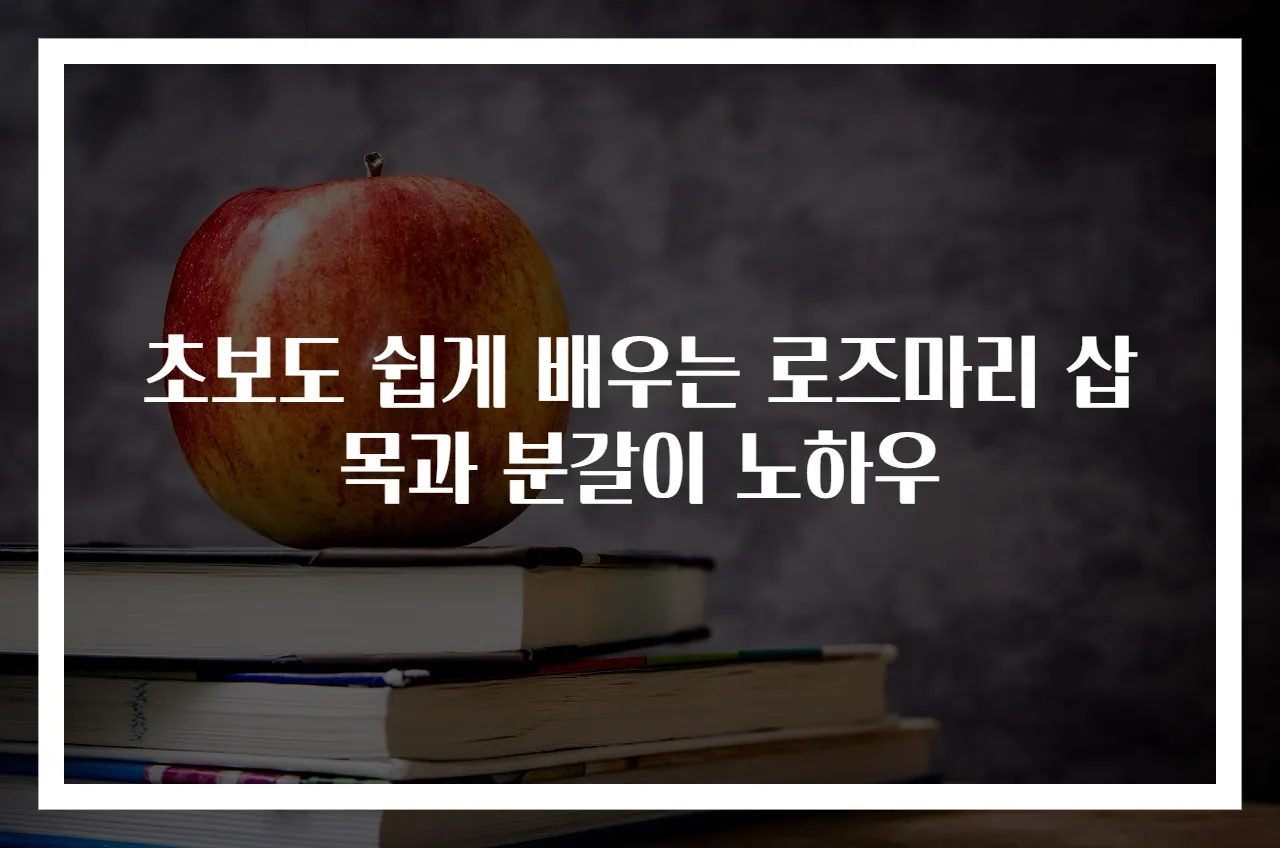 초보도 쉽게 배우는 로즈마리 삽목과 분갈이 노하우