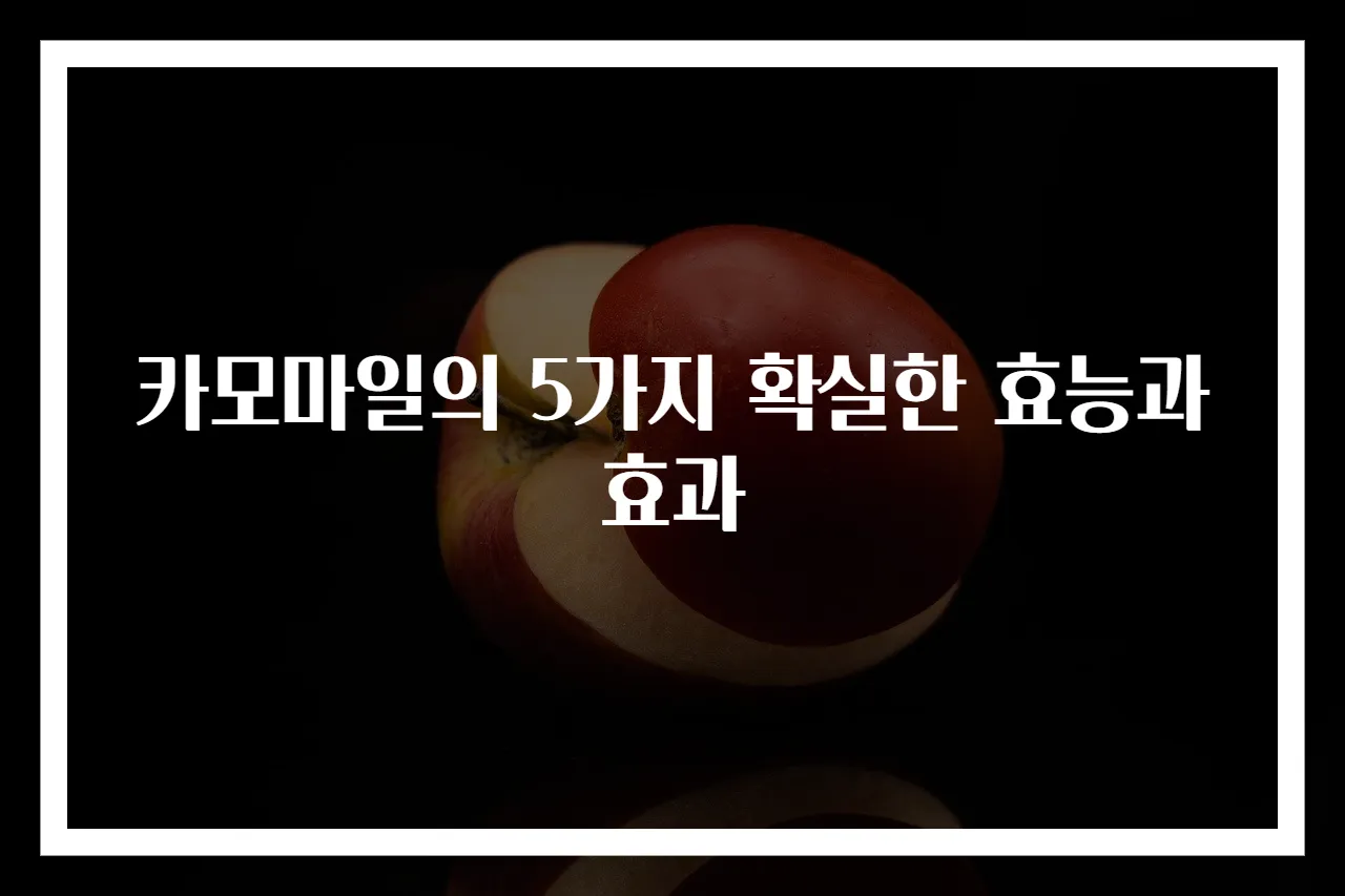 카모마일의 5가지 확실한 효능과 효과