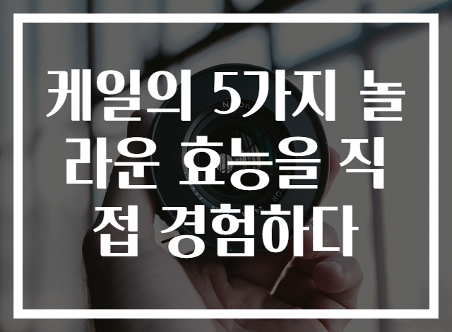 케일의 5가지 놀라운 효능을 직접 경험하다