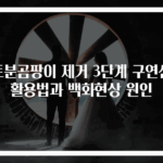 토분곰팡이 제거 3단계 구연산 활용법과 백화현상 원인