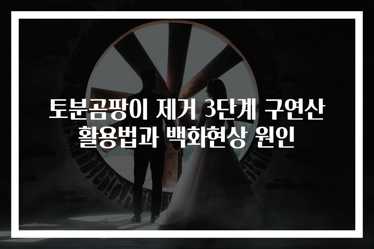 토분곰팡이 제거 3단계 구연산 활용법과 백화현상 원인