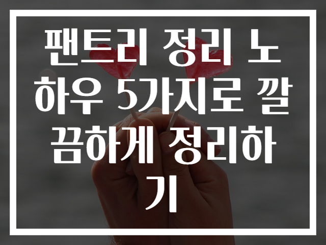 팬트리 정리 노하우 5가지로 깔끔하게 정리하기