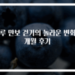 하루 만보 걷기의 놀라운 변화 3개월 후기
