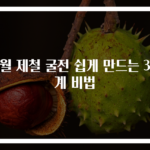 12월 제철 굴전 쉽게 만드는 3단계 비법