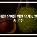 17개월 유아를 위한 유기농 쌀과자 추천