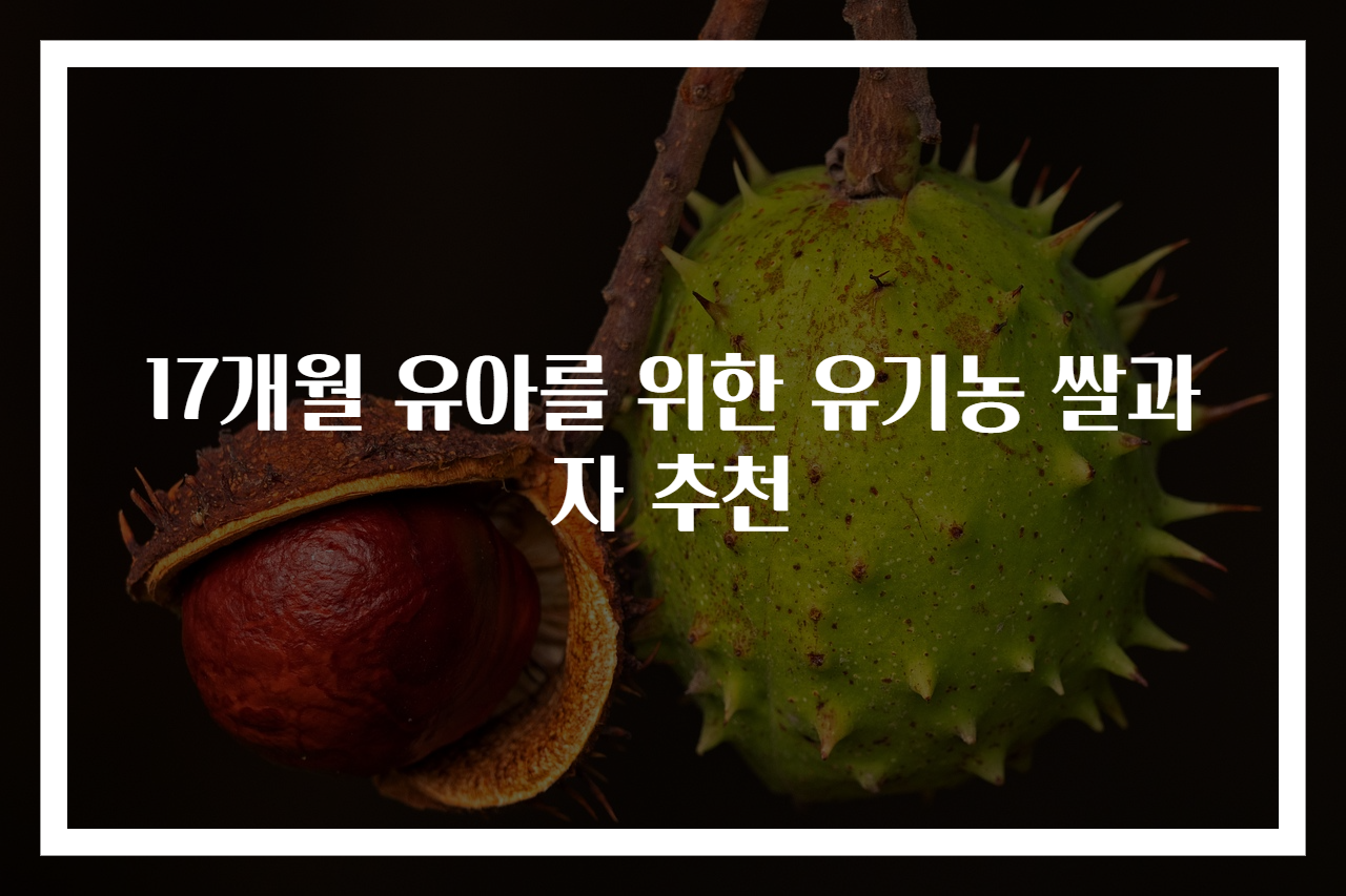 17개월 유아를 위한 유기농 쌀과자 추천