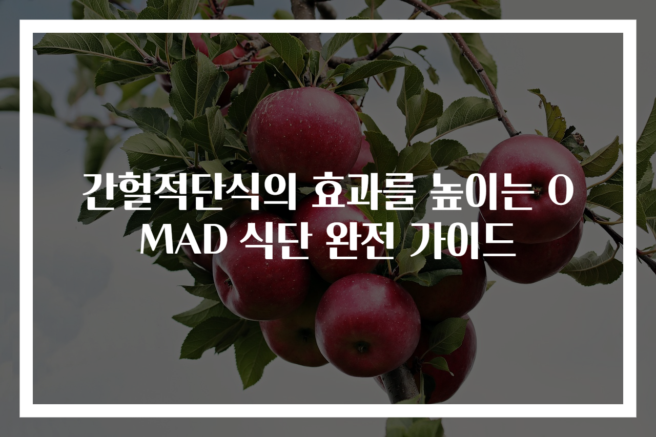 간헐적단식의 효과를 높이는 OMAD 식단 완전 가이드