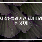 감자 삶는법과 시간 쉽게 따라하는 3단계