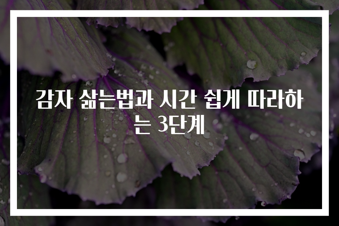 감자 삶는법과 시간 쉽게 따라하는 3단계