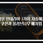 거실 인테리어 3가지 지중해풍 쿠션과 올리브나무 배치법