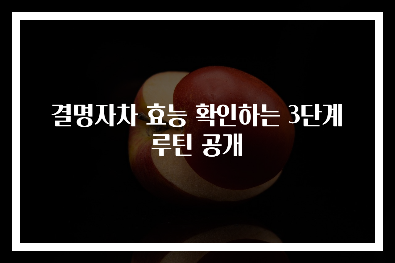 결명자차 효능 확인하는 3단계 루틴 공개