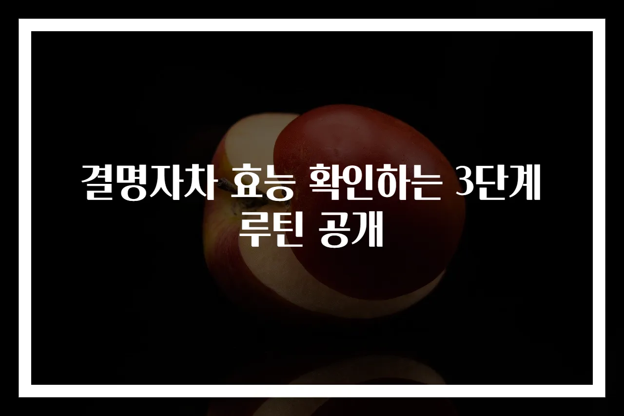 결명자차 효능 확인하는 3단계 루틴 공개