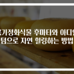 공기정화식물 후마타와 아디안텀으로 자연 힐링하는 방법