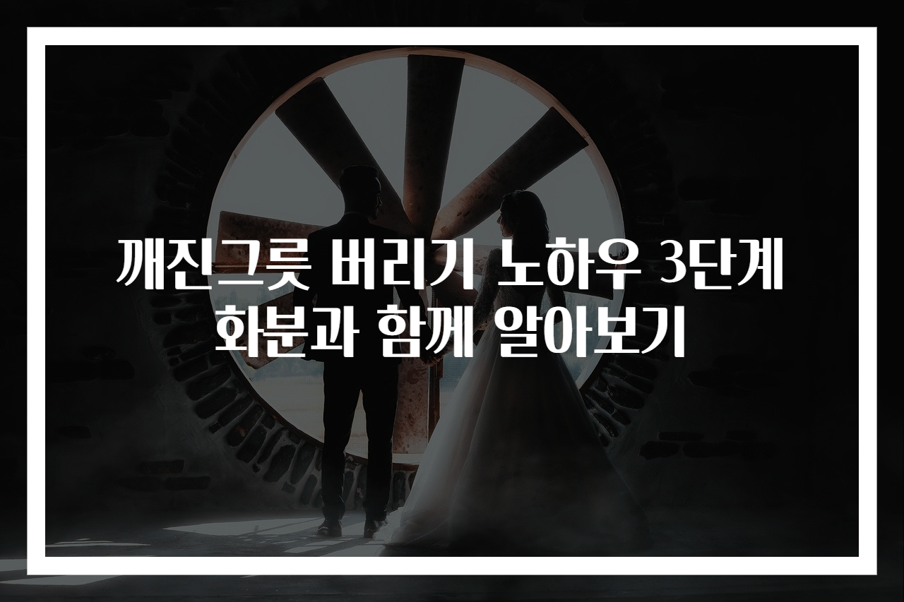 깨진그릇 버리기 노하우 3단계 화분과 함께 알아보기