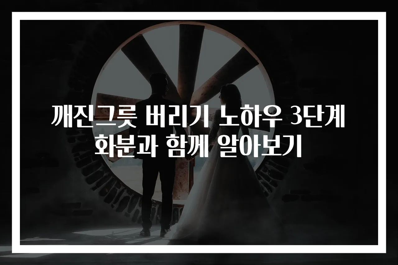 깨진그릇 버리기 노하우 3단계 화분과 함께 알아보기