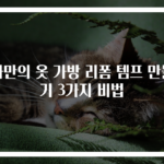 나만의 옷 가방 리폼 템프 만들기 3가지 비법