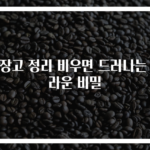 냉장고 정리 비우면 드러나는 놀라운 비밀