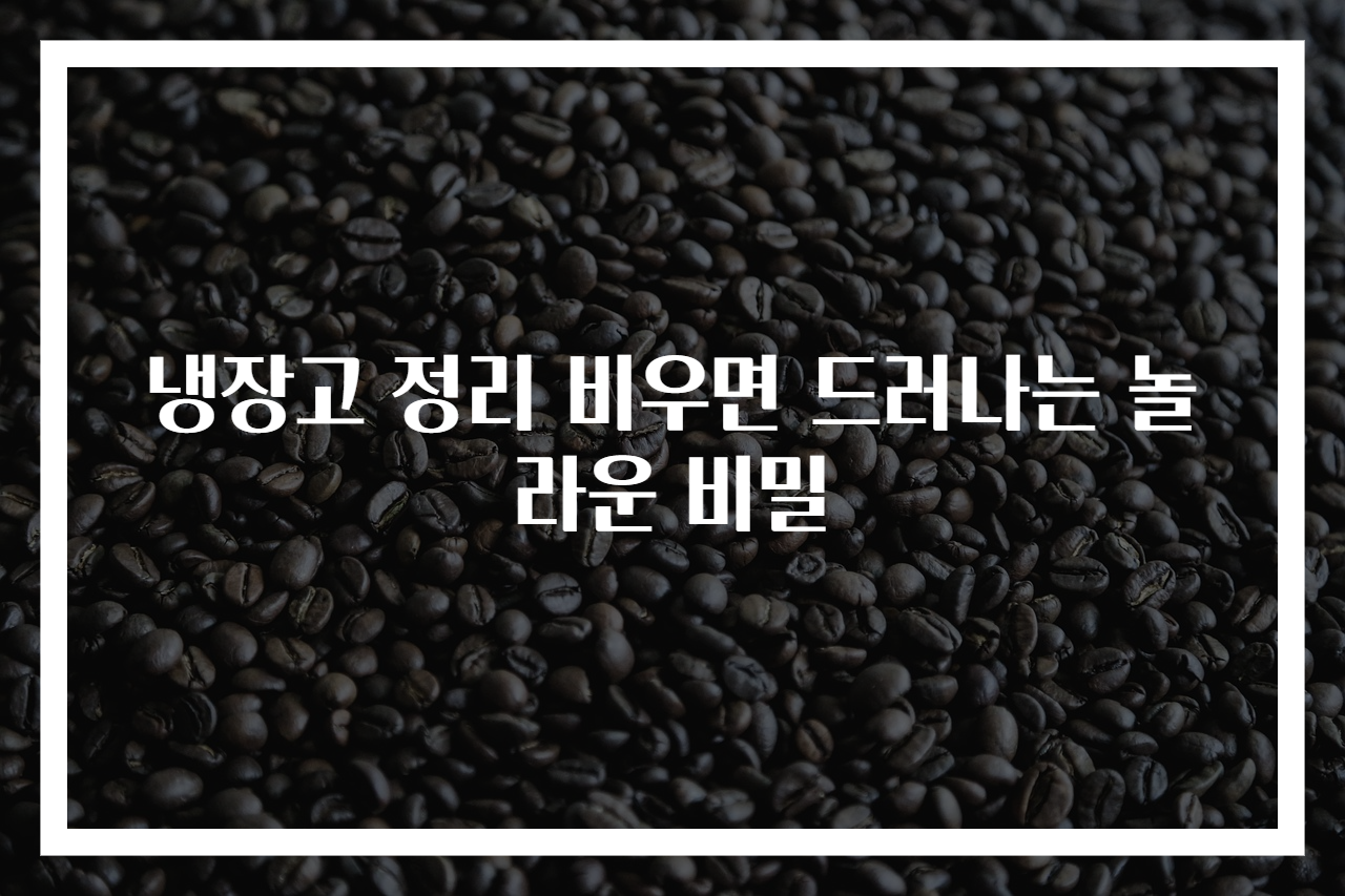 냉장고 정리 비우면 드러나는 놀라운 비밀