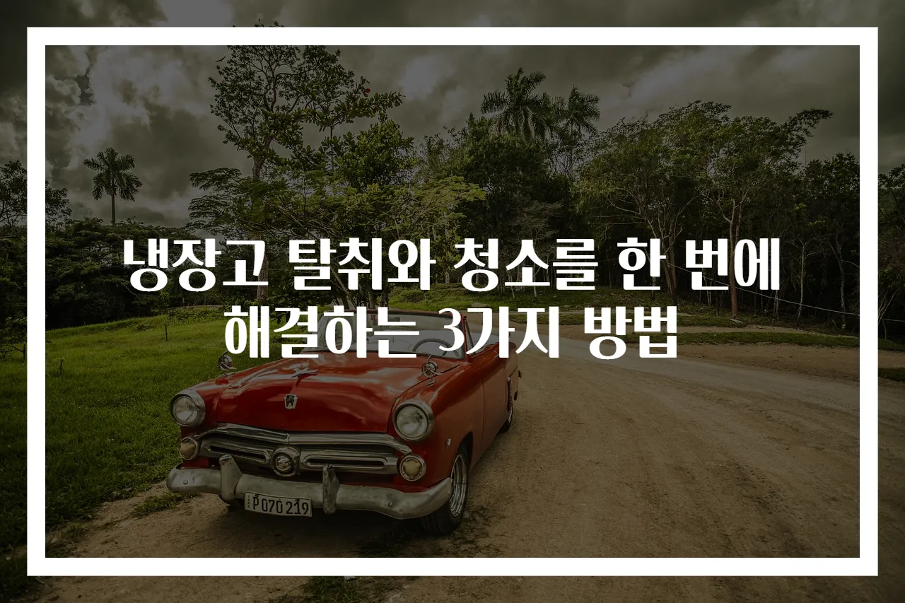 냉장고 탈취와 청소를 한 번에 해결하는 3가지 방법