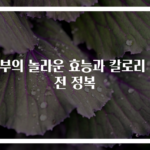 두부의 놀라운 효능과 칼로리 완전 정복