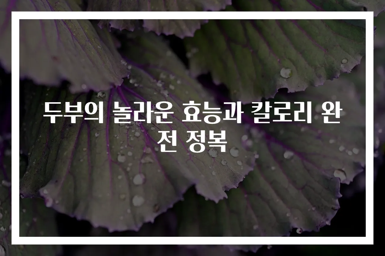 두부의 놀라운 효능과 칼로리 완전 정복