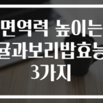 면역력 높이는 귤과보리밥효능 3가지
