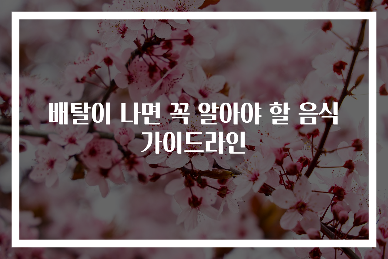 배탈이 나면 꼭 알아야 할 음식 가이드라인