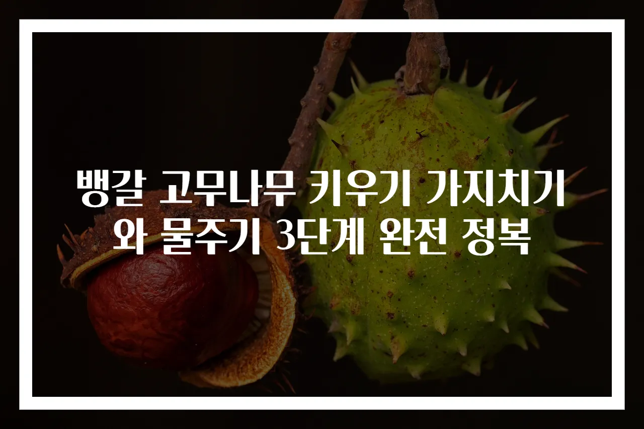 뱅갈 고무나무 키우기 가지치기와 물주기 3단계 완전 정복